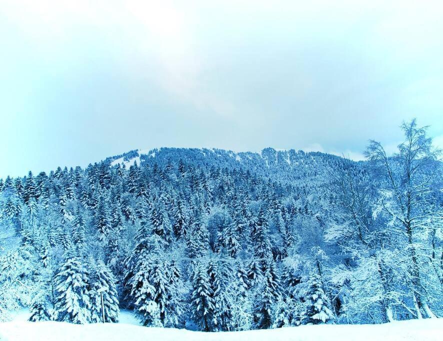 Logement 6 Pers Au Coeur Des Montagnes Pyreneennes Linge De Maison Et Papier Toilette Non Fournis Boutx Екстер'єр фото